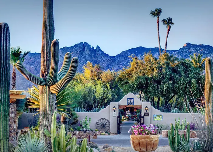 Hacienda Del Sol Guest Ranch Resort